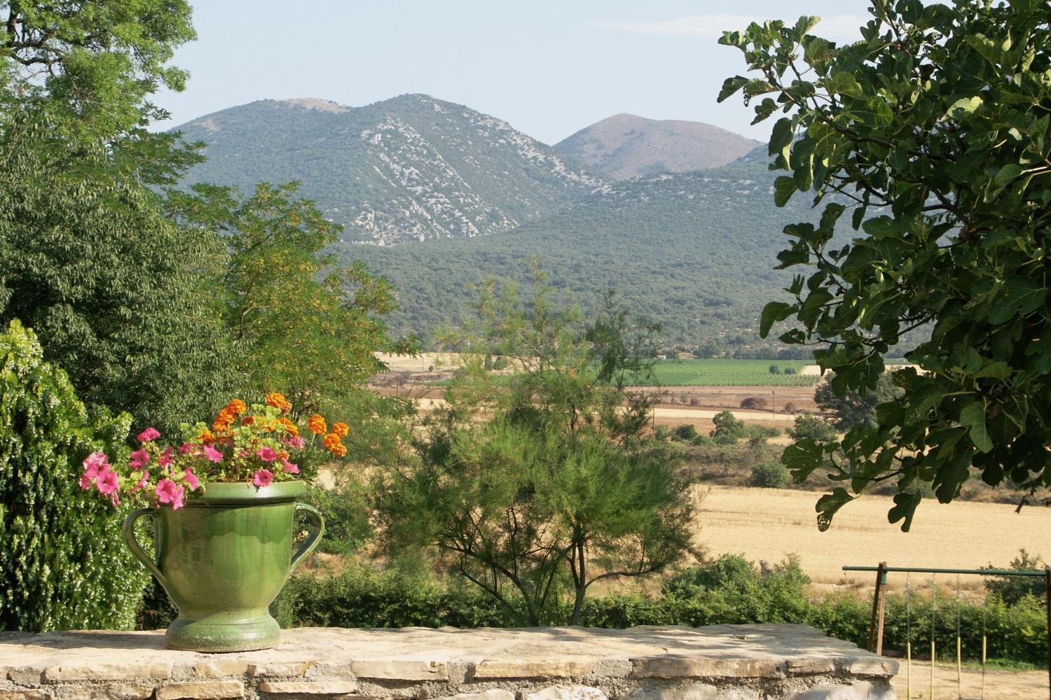 Domaine De Blancardy Hotel Moules-et-Baucels Bagian luar foto